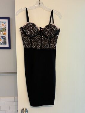 Entry Blush Pink and Black Corset Top Lace Bodycon Mini Dress